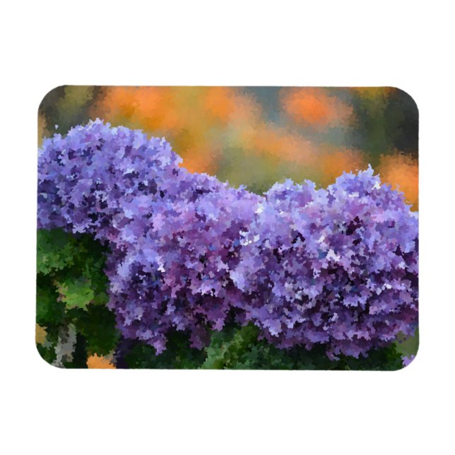 Íman Hydrangea Magnet (Horizontal)