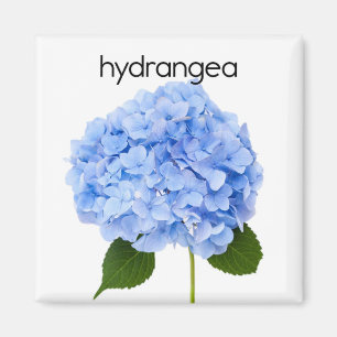 Íman Hydrangea Refrigerator Magnet