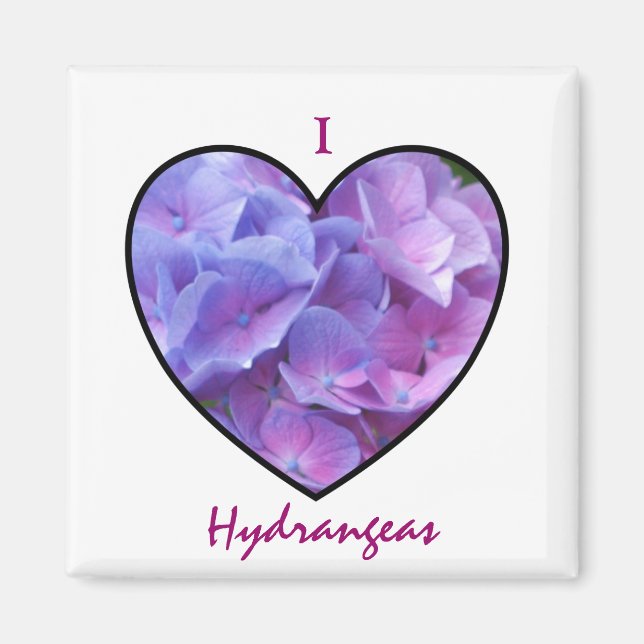 Íman Hydrangeas Magnet (Frente)