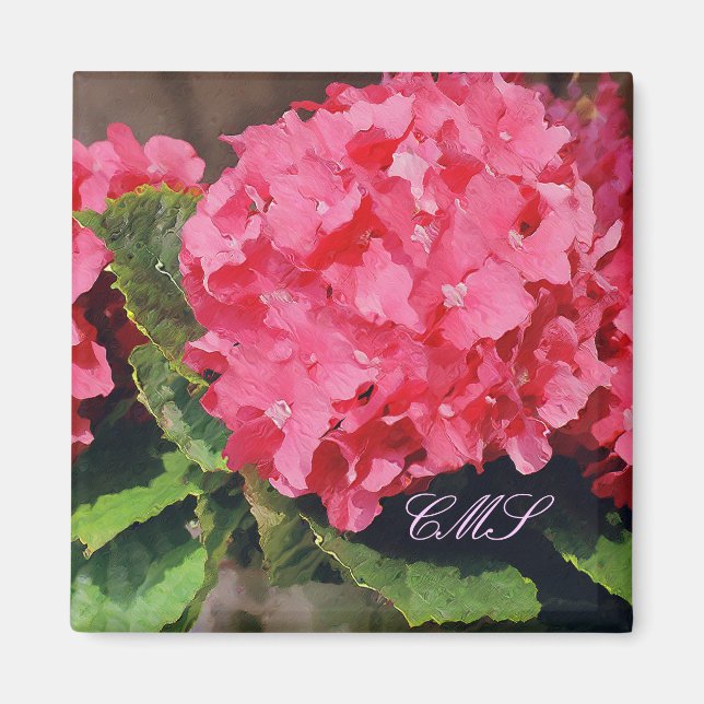Íman Hydrangeas Rosa (Frente)