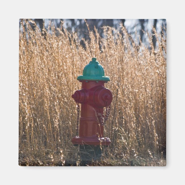 Íman Hydrant de Fogo (Frente)