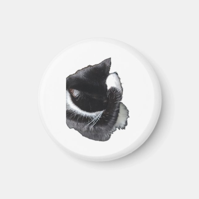 Íman I Can't Even Right Meow (Frente)