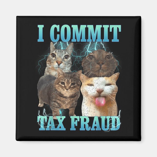 Íman I Commit Tax Fraud Funny Cat Meme Bootleg Graphic  (Frente)