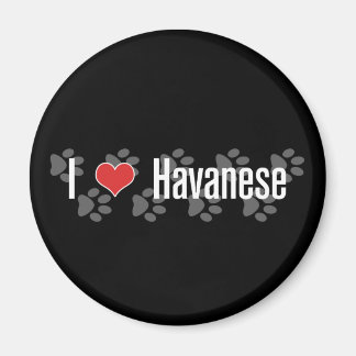 Íman I (coração) Havanês