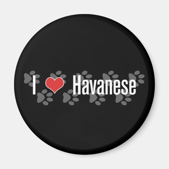 Íman I (coração) Havanês (Frente)