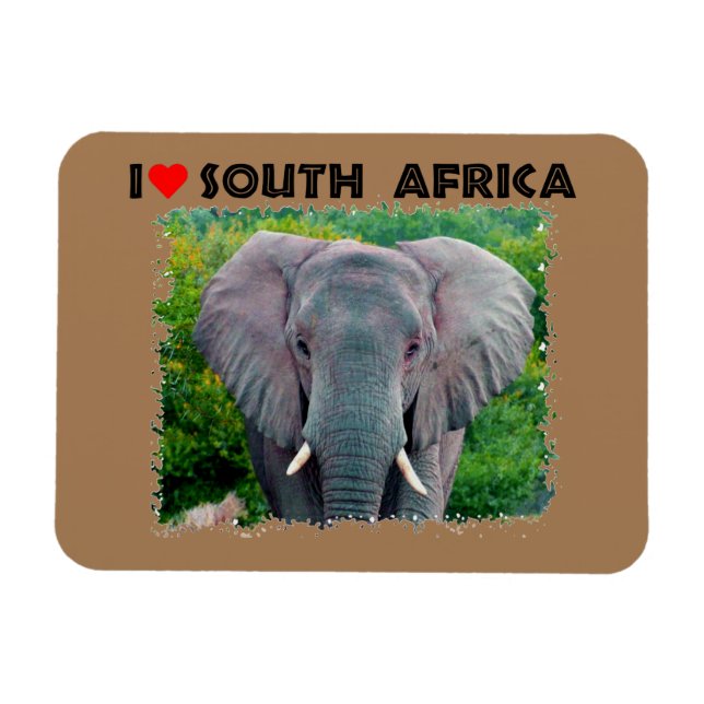 Íman I Heart Africa do Sul jovem elefante de touro (Horizontal)