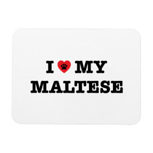 Íman I Heart My Maltese