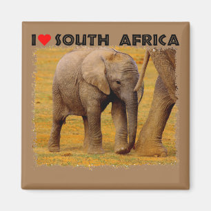 Íman I Heart South Africa Elephant calf Magnet