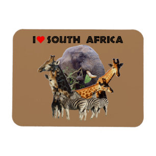 Íman I Heart South Africa Wildlife Collage