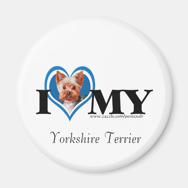 Íman I Heart Yorkshire Terrier-Blue-Magnet (Frente)