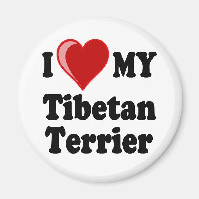 Íman I Love (Heart) My Tibetan Terrier Dog (Frente)