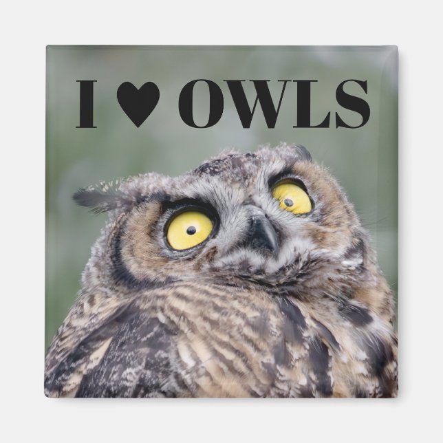Íman I Love Owls Magnet (Frente)