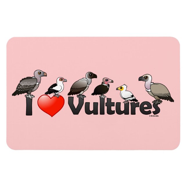 Íman I Love Vultures (África) (Horizontal)