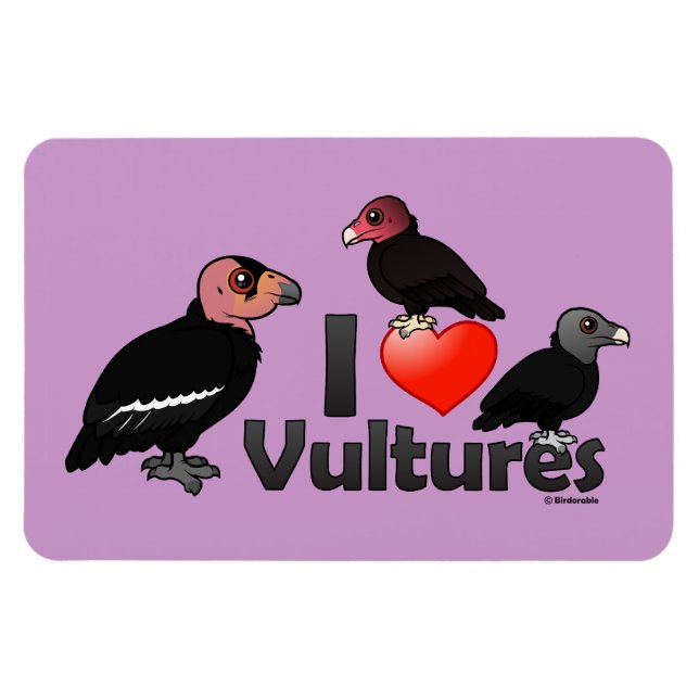 Íman I Love Vultures (América do Norte) (Horizontal)