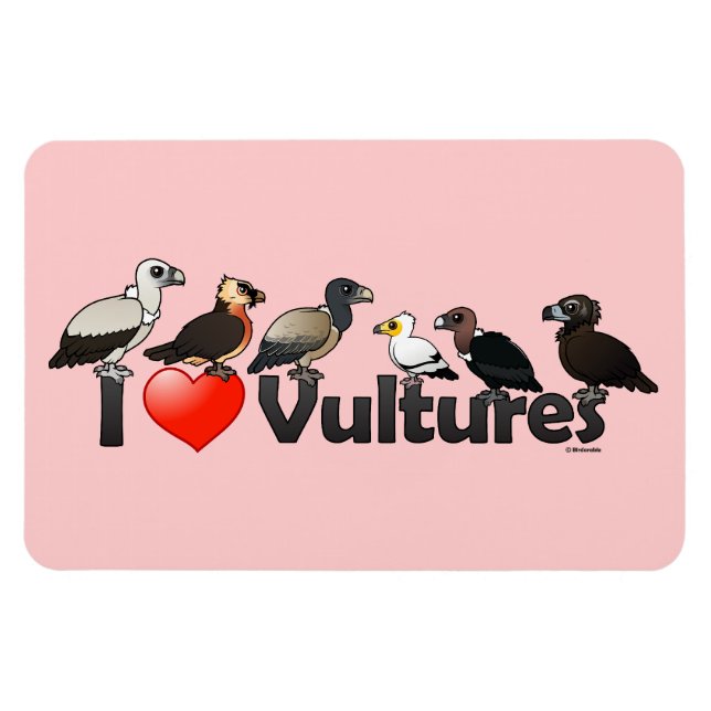 Íman I Love Vultures (Eurásia) (Horizontal)
