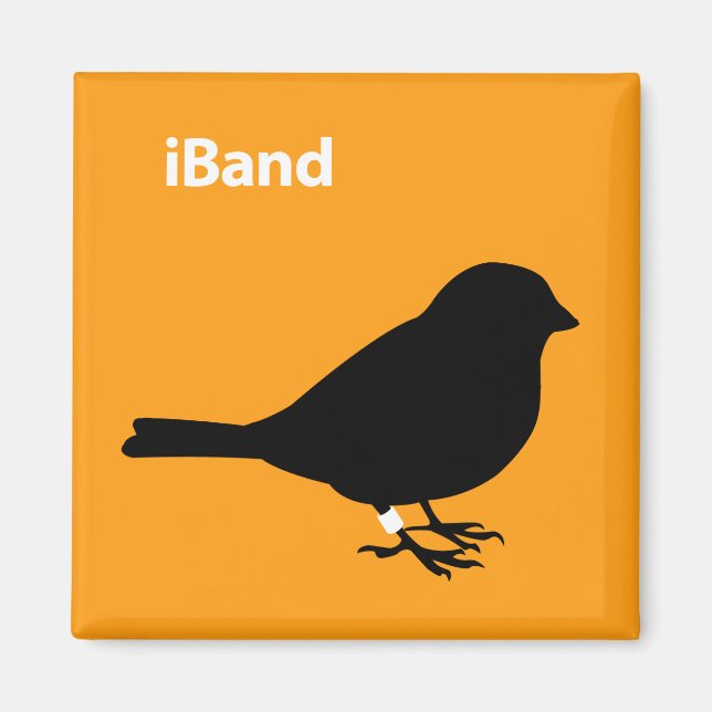 Íman iBand Orange (Frente)