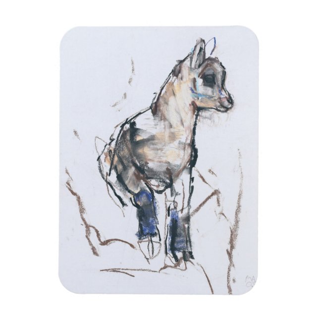 Íman Ibex Kid (Vertical)