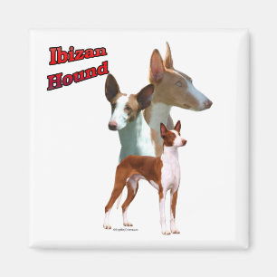 Íman Ibizan Hound Trio 2 - Magnet