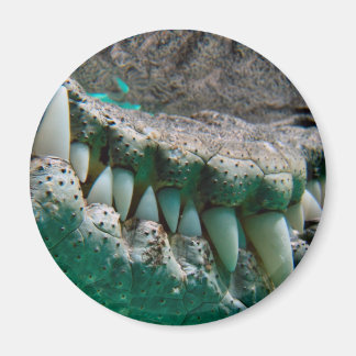 Íman Ícone Aussie - Big Croc Terry 2 - Magnet