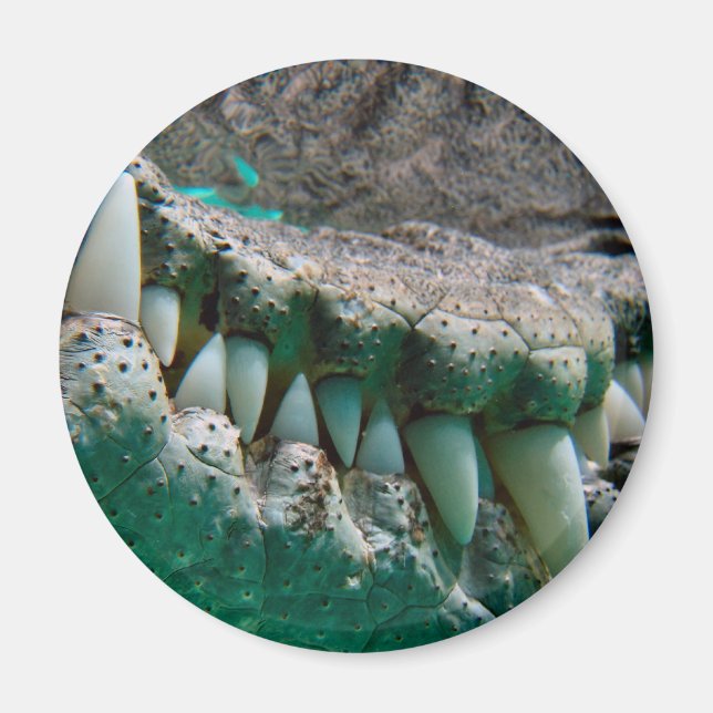 Íman Ícone Aussie - Big Croc Terry 2 - Magnet (Frente)