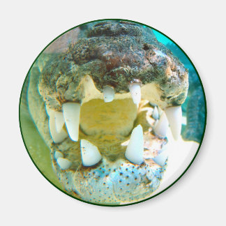 Íman Ícone Aussie - Big Croc Terry - Magnet