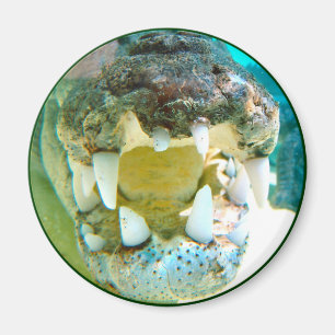 Íman Ícone australiano - Croc grande Terry - ímã