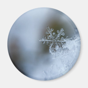Íman Icy Snowflake