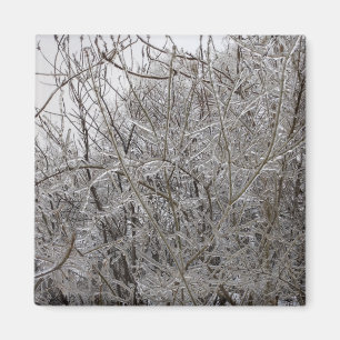 Íman Icy Twigs