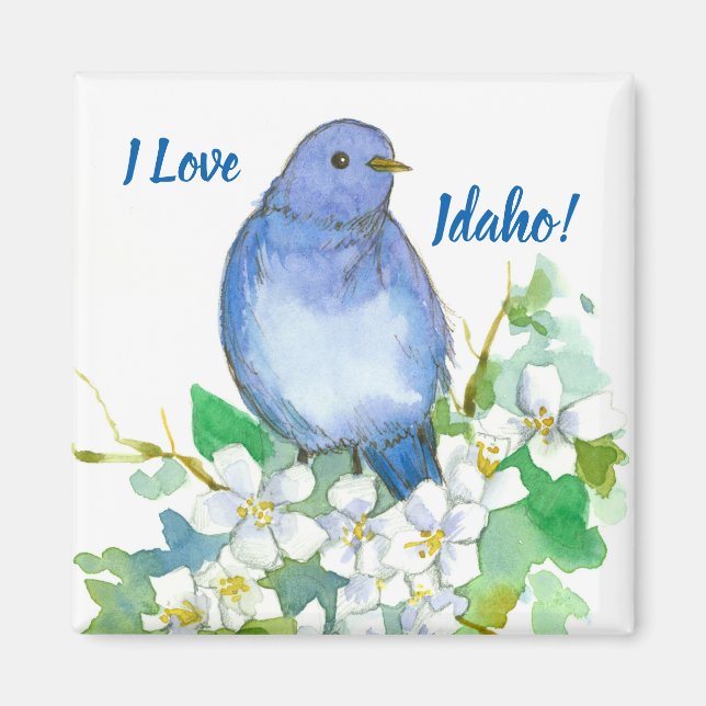 Íman Idaho Souvenir Mountain Bluebird Syringa (Frente)