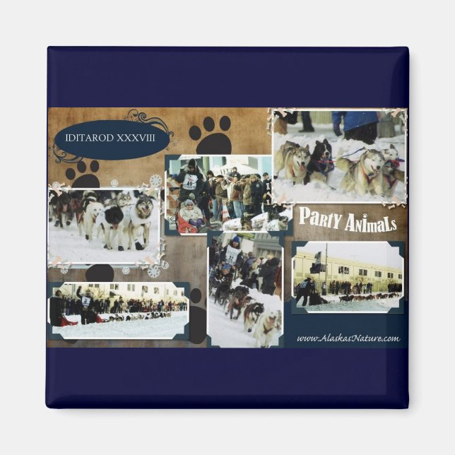 Íman Iditarod 2010 (Frente)