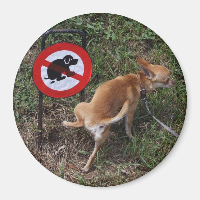 Íman Ignorância é felicidade (Frente)