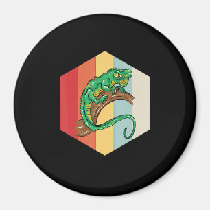 Íman Iguana Illustra Proprietário do Pão Gift Iguanas L