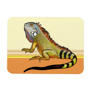 Íman iguana verde