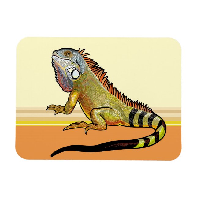 Íman iguana verde (Horizontal)