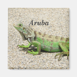 Íman Iguana verde de Aruba