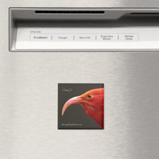 Íman Iiwi Magnet de Honeycreeper havaiano