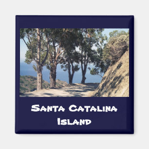 Íman Ilha Catalina