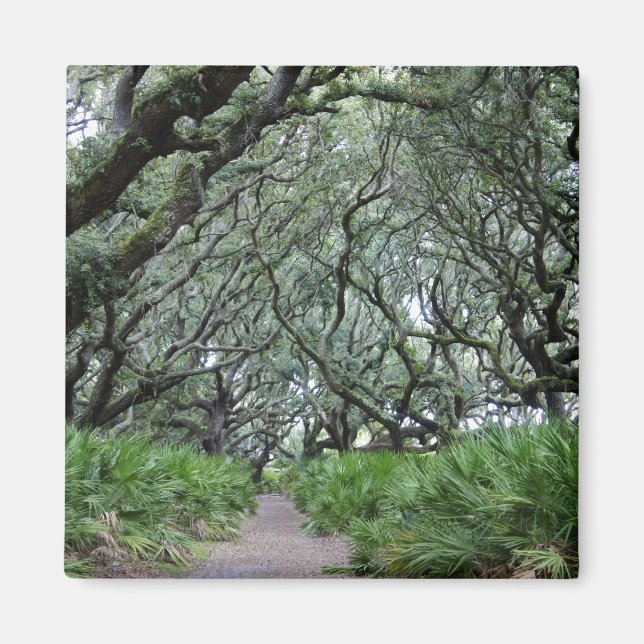 Íman Ilha Cumberland (Frente)