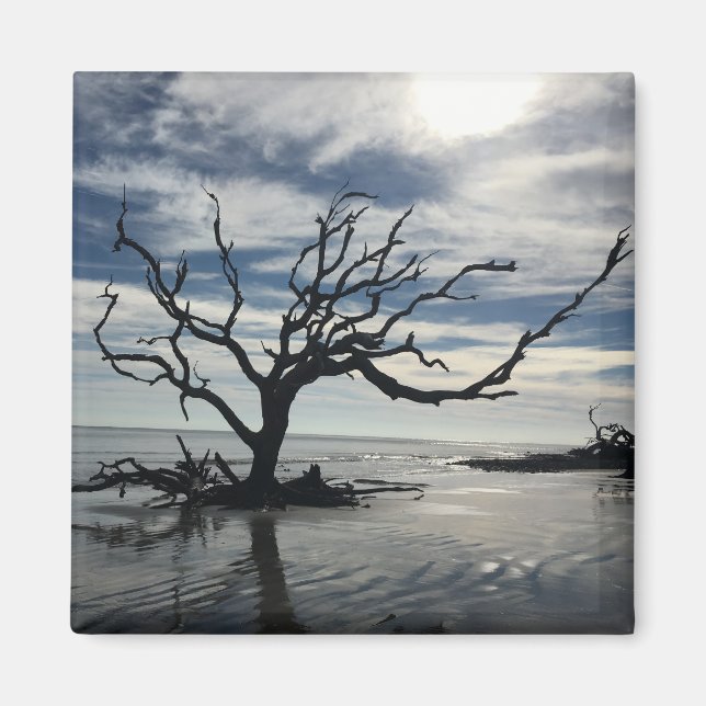 Íman Ilha de Jekyll Georgia (Frente)