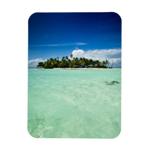 Íman Ilha do Pacífico com o ímã vertical das palmeir