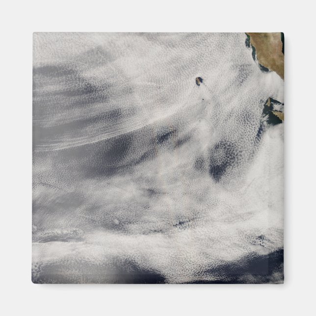 Íman Ilha Guadalupe (Frente)