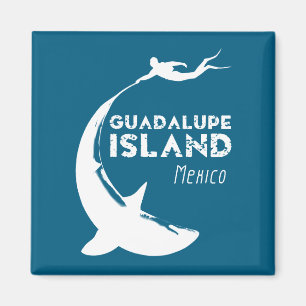 Íman Ilha Guadalupe México   Mergulho Com Tubarões
