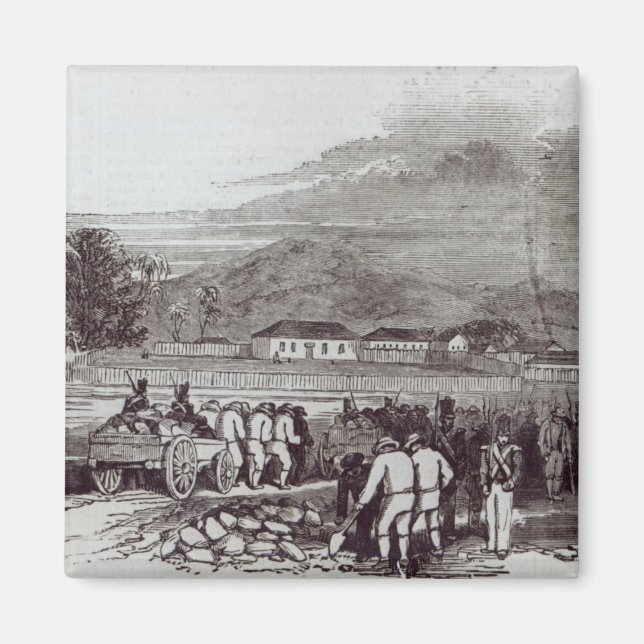 Íman Ilha Norfolk (Frente)