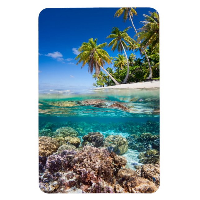 Íman Ilha Tropical sob e acima da água (Vertical)