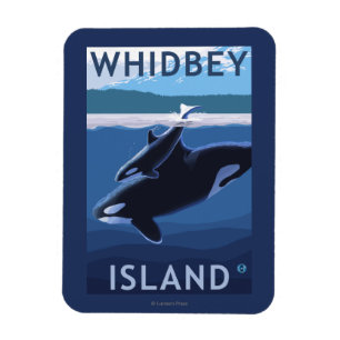 Íman Ilha, WashingtonOrca e vitela de Whidbey