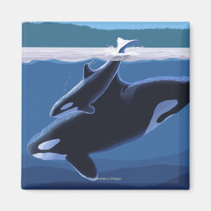 Íman Ilha Whidbey, Washington Orca e Calf
