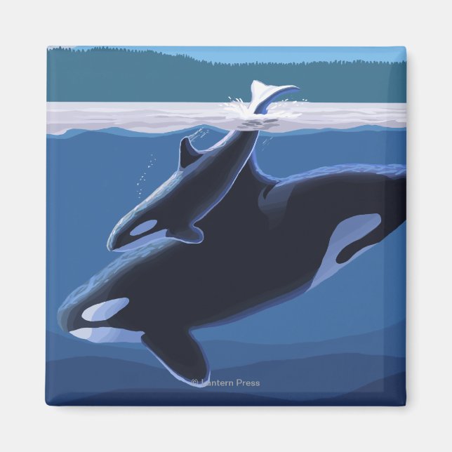 Íman Ilha Whidbey, Washington Orca e Calf (Frente)