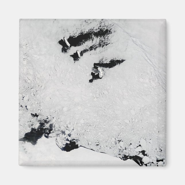 Íman Ilhas Balleny, perto da Antártica (Frente)