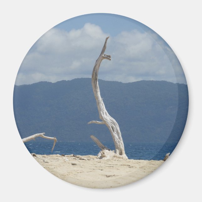 Íman Ilhas Frankland - Austrália Magnet (Frente)