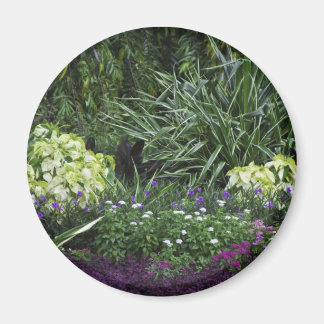 Íman Ilhas Grand Cayman